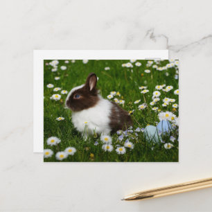 Kleines Braun- und Weißgebälk in Blume Postkarte