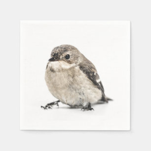 Kleines braunes Gartenvogel-Foto Serviette