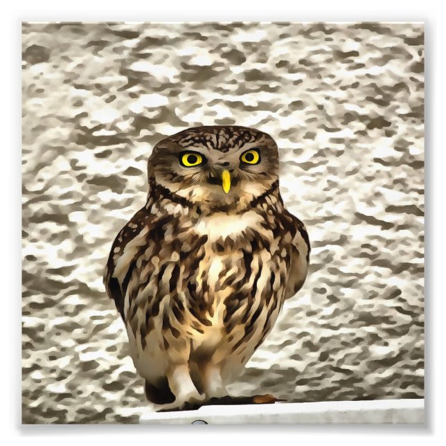 Kleines Brown Barn Owl Kunstportrait Fotodruck (Vorne)