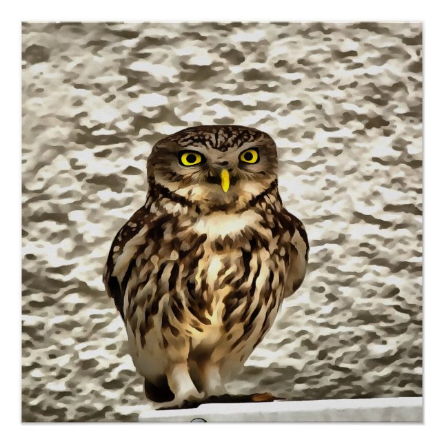 Kleines Brown Barn Owl Kunstportrait Poster (Vorderseite)