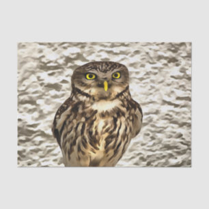 Kleines Brown Barn Owl Kunstportrait Seidenpapier