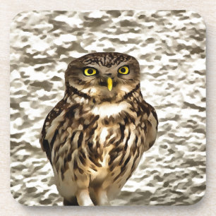 Kleines Brown Barn Owl Kunstportrait Untersetzer