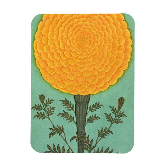 Kleines Clive Album | A Marigold Magnet (Vertikal)