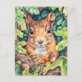 Kleines Eichhörnchen im Eichenbaum Postkarte