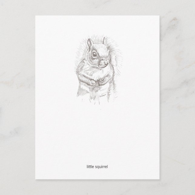 Kleines Eichhörnchen Postkarte (Vorderseite)