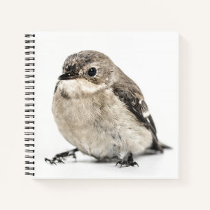 Kleines Gartenvogel-Foto Notizbuch