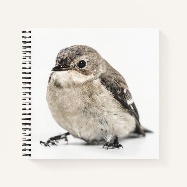 Kleines Gartenvogel-Foto Notizbuch (Vorderseite)