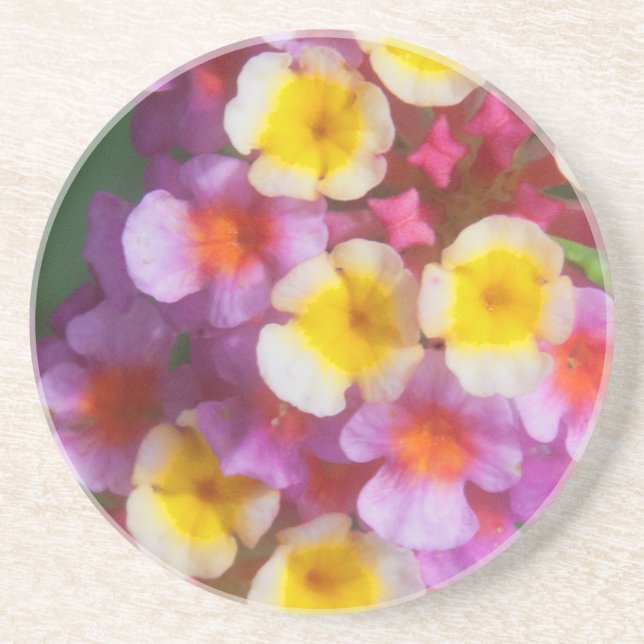 Kleines Gelbpinke und Lila tropische Blume Getränkeuntersetzer (Vorne)