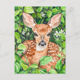Kleines Hirsch auf der grünen Wiese Postkarte
