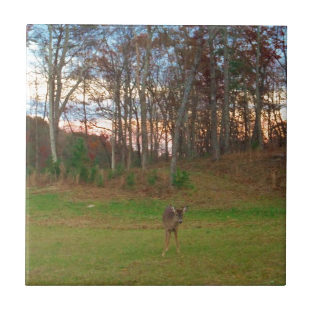 Kleines Hirsch und rosa Sonnenuntergang Fliese (Vorderseite)