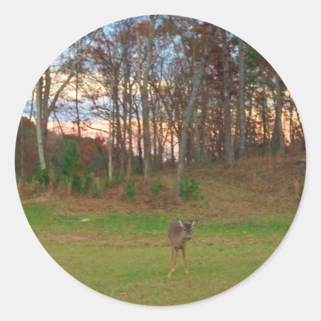 Kleines Hirsch und rosa Sonnenuntergang Runder Aufkleber (Vorderseite)