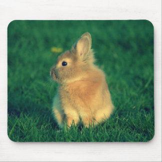 Kleines Kaninchen Mousepad