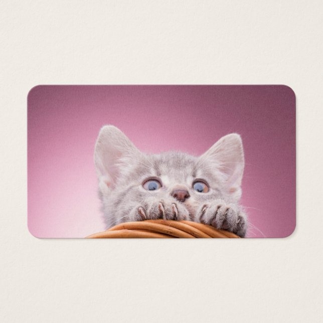 Kleines Kätzchen (Vorderseite)