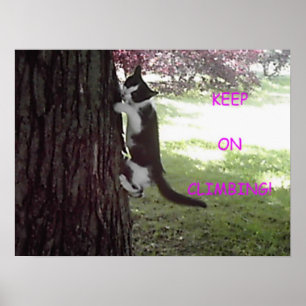 Kleines Kätzchen-großes Baum-Plakat Poster