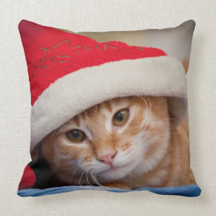 Kleines Kätzchen im roten Weihnachtshut Kissen