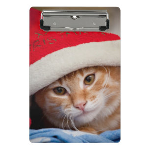 Kleines Kätzchen im roten Weihnachtshut Mini Klemmbrett