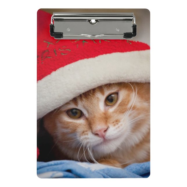 Kleines Kätzchen im roten Weihnachtshut Mini Klemmbrett (Vorderseite)