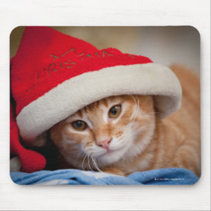 Kleines Kätzchen im roten Weihnachtshut Mousepad