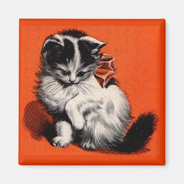 Kleines Kätzchen Magnet (Vorne)