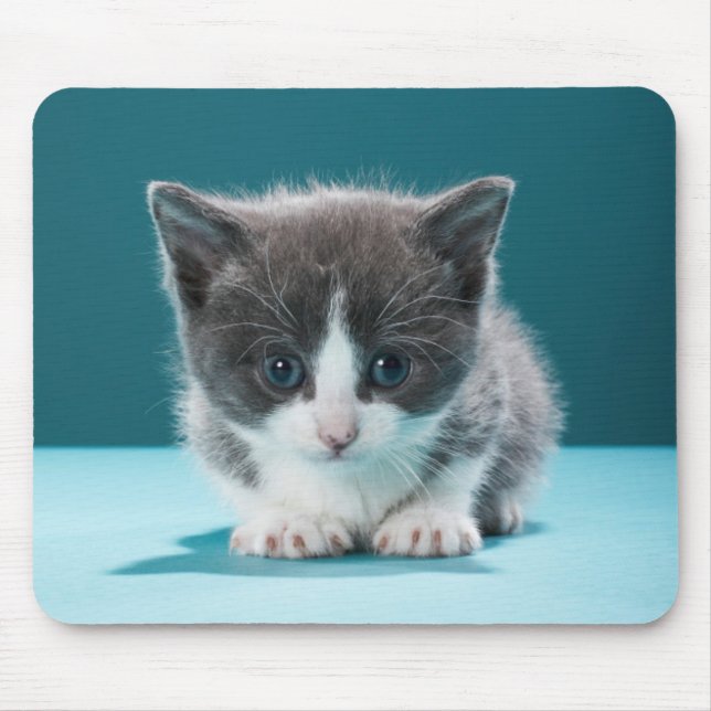Kleines Kätzchen Mousepad (Vorne)