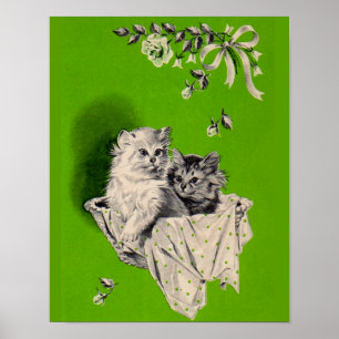 Kleines Kätzchen Poster