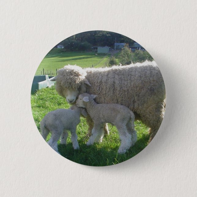 KLEINES LAMM BUTTON (Vorderseite)