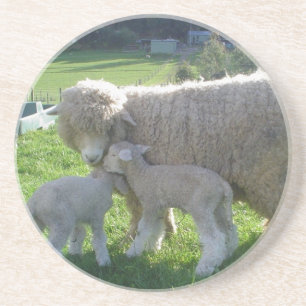 KLEINES LAMM SANDSTEIN UNTERSETZER