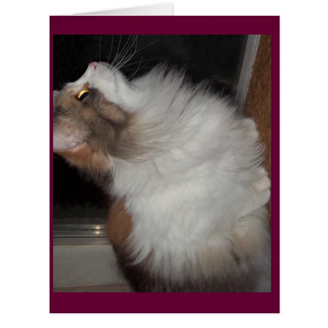 Kleines Mädchen (Vorderseite)