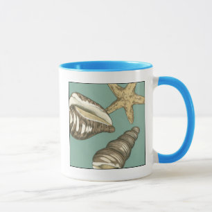 Kleines Muschel-Trio auf aquamarinem Tasse