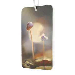 Kleines Mushroom Nature Foto Autolufterfrischer