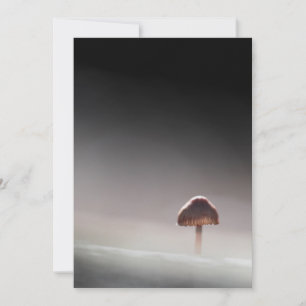 Kleines Mushroom Nature Foto Karte