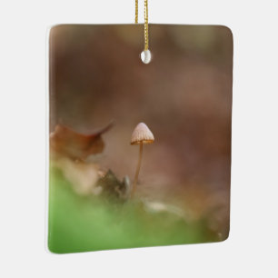 Kleines Mushroom Nature Foto Keramikornament