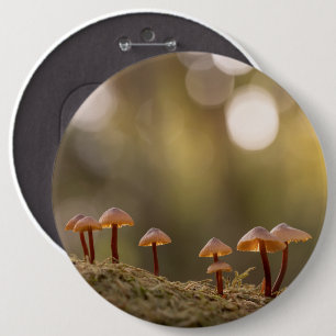 Kleines Mushrooms Nature Foto Button