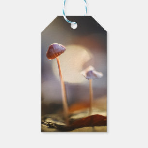 Kleines Mushrooms Nature Foto Geschenkanhänger