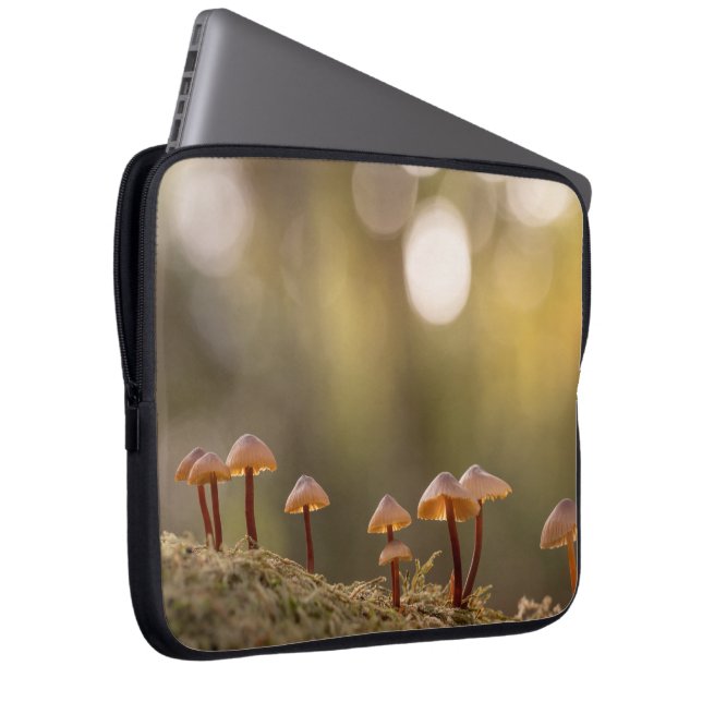 Kleines Mushrooms Nature Foto Laptopschutzhülle (Vorne Rechts)