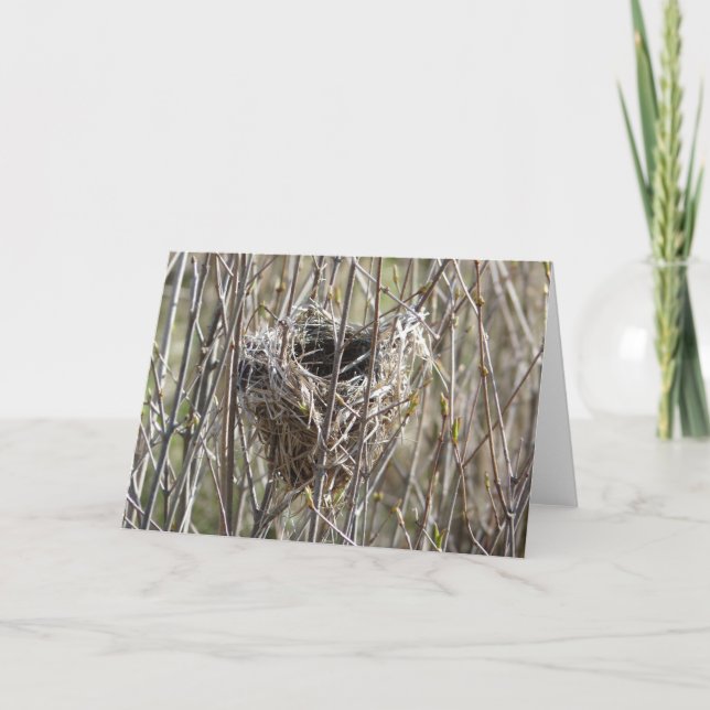 Kleines Nest Karte (Vorderseite)