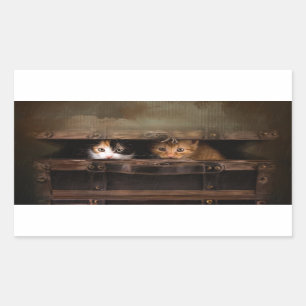 Kleines niedliches Kätzchen in einem alten Holzkof Rechteckiger Aufkleber