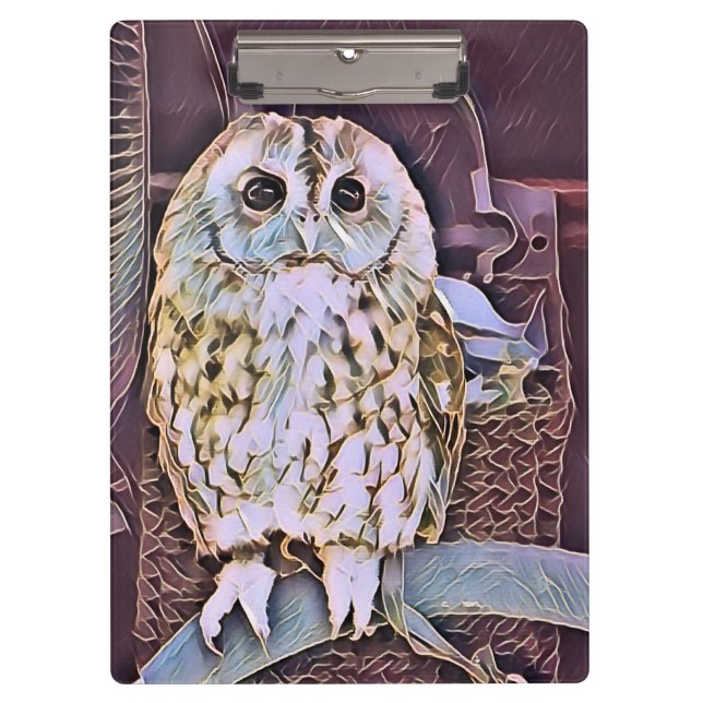 KLEINES OWL KLEMMBRETT (Vorderseite)