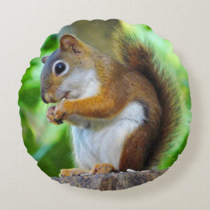 Kleines Rotes Eichhörnchen Rundes Kissen