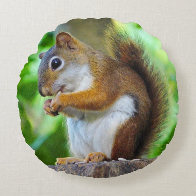 Kleines Rotes Eichhörnchen Rundes Kissen (Vorderseite)