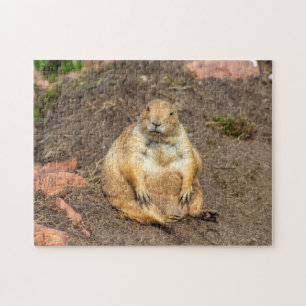 Kleines Schwarzschwanz-Prairie-Dog-Jigsaw-Puzzle