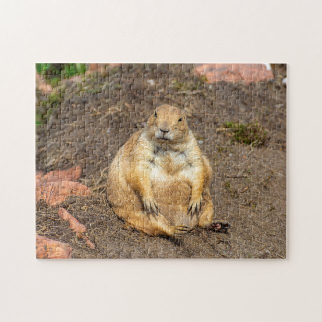 Kleines Schwarzschwanz-Prairie-Dog-Jigsaw-Puzzle (Horizontal)