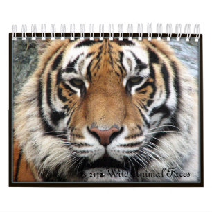 Kleines wildes Tier stellt Kalender 2012 gegenüber