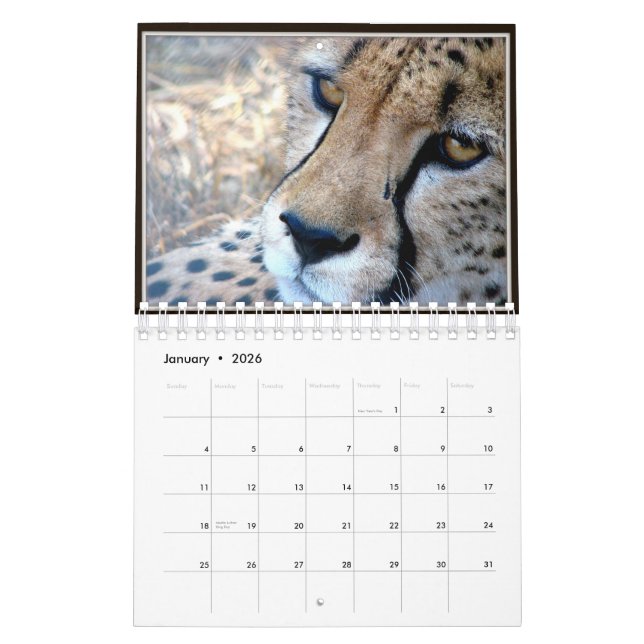 Kleines wildes Tier stellt Kalender 2012 gegenüber (Jan 2026)