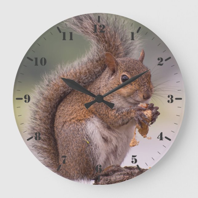 Kleines Wildtier niedlich Florida Eichhörnchen nah Große Wanduhr (Vorderseite)