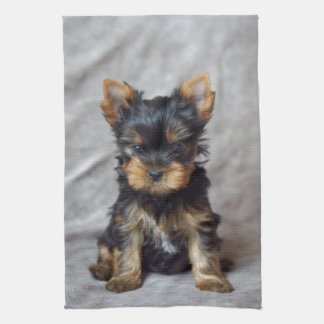 Kleines yorkie geschirrtuch