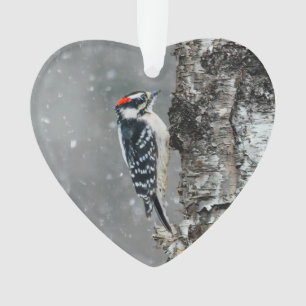 Kleinspecht im Schnee - Originalfotografie Ornament