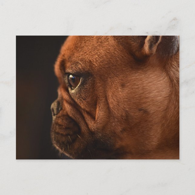 Klementine Postkarte (Vorderseite)