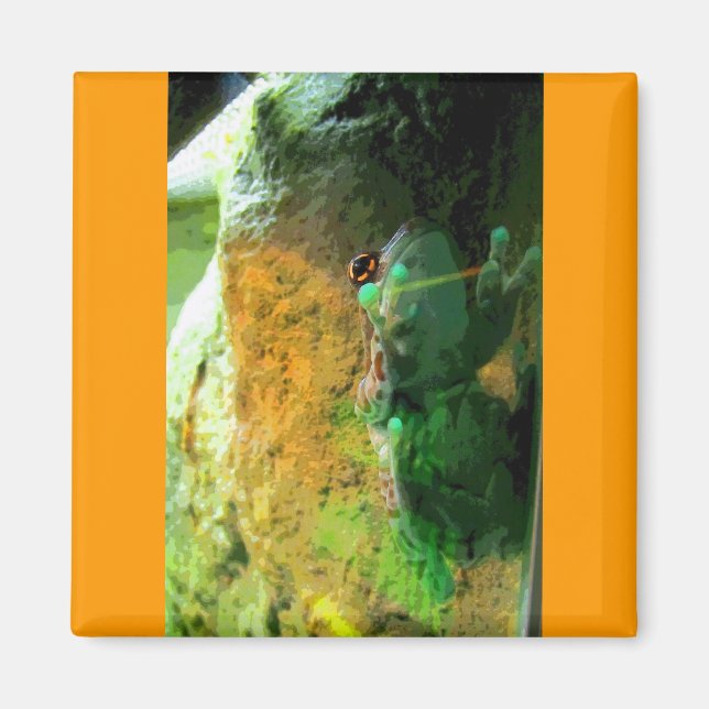 Kletterfrosch CB Magnet (Vorne)