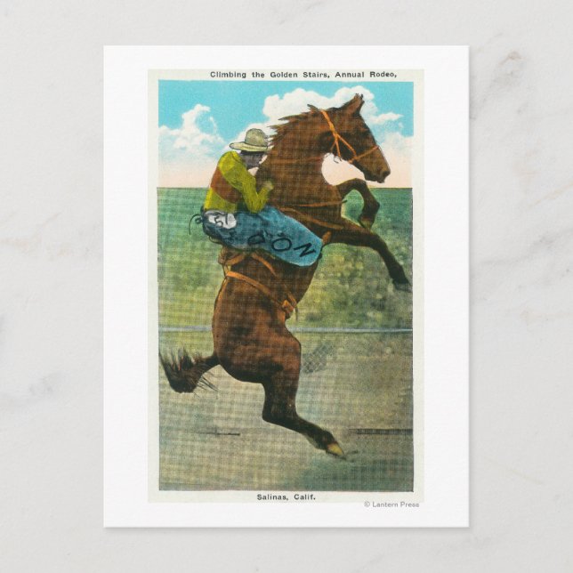 Klettergarten Bellinzona Postkarte (Vorderseite)